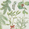 Kép 6/7 - Karácsonyi textilhatású szalvéta 40x40 cm Amaryllis 