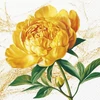 Kép 1/2 - Papírszalvéta 33x33 cm 3 rétegű 20 lap/csomag - Peonia virágzás